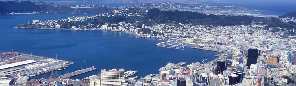 nz-arial-view